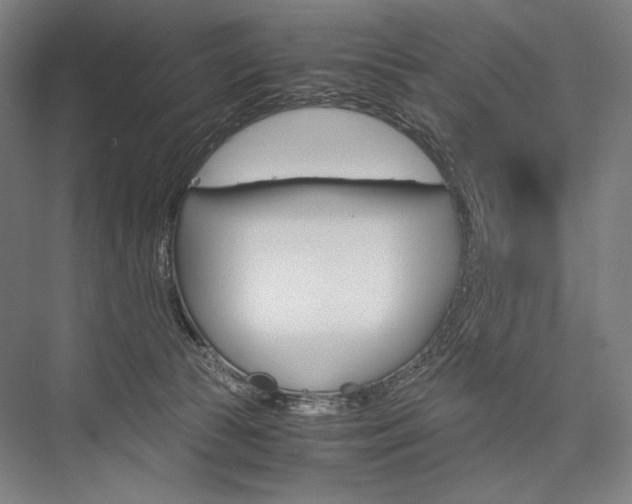 X0000076430177200610061009