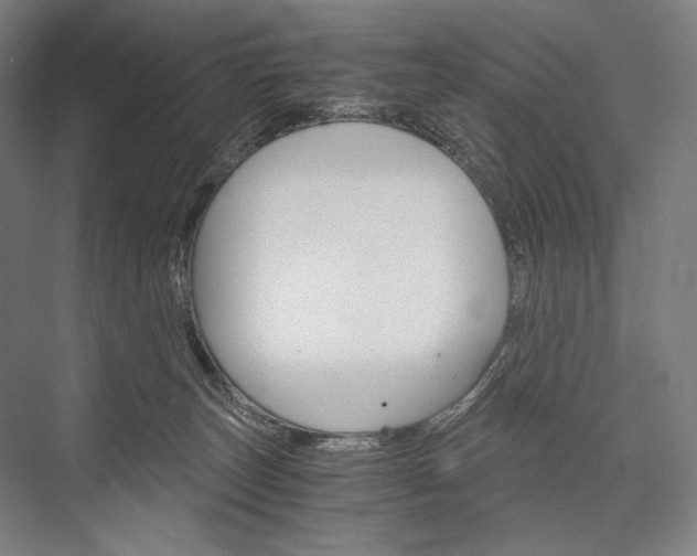 X0000076430179200610061009