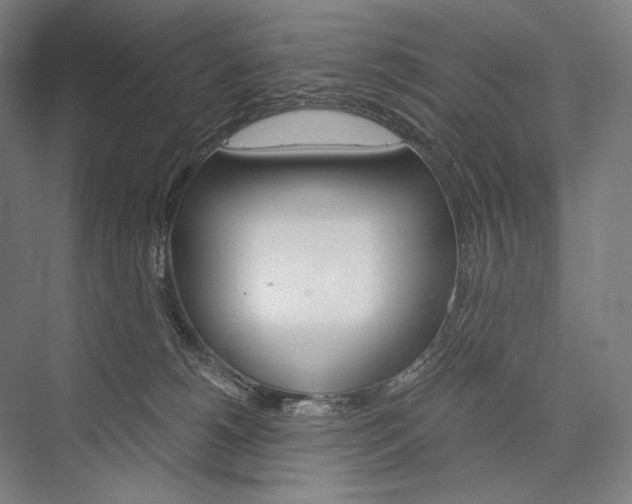 X0000076430180200610061009