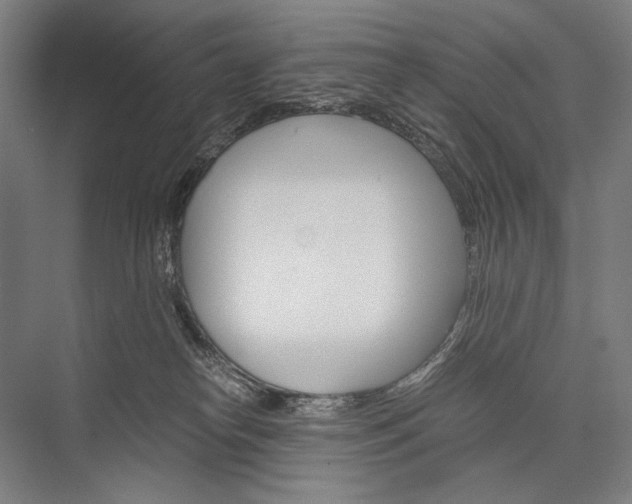 X0000076430182200610061009