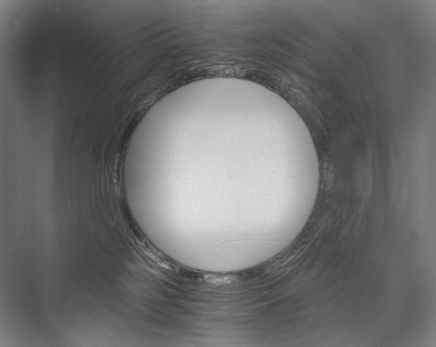 X0000076430185200610061009
