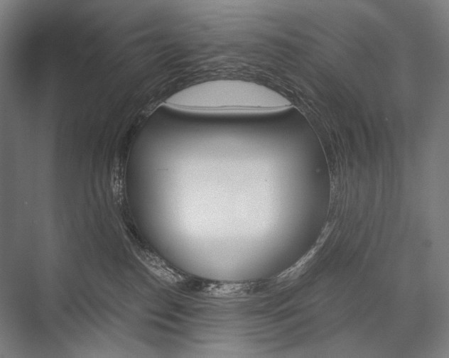 X0000076430186200610061009