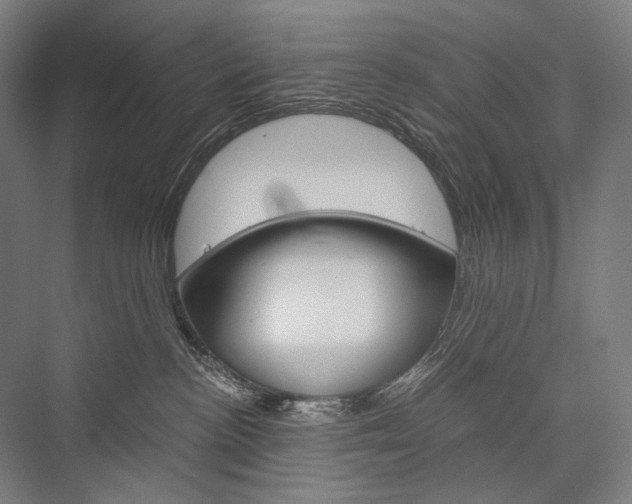 X0000076430188200610061009