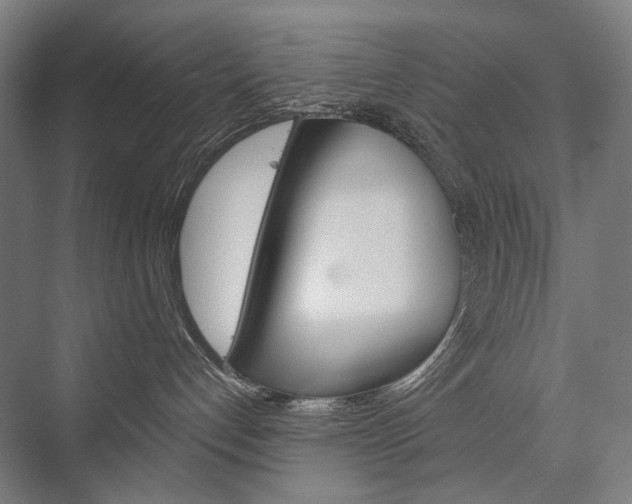 X0000076430192200610061009