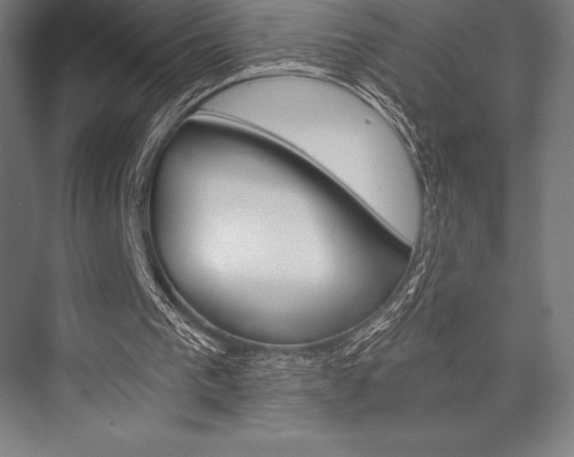 X0000076430193200610061008