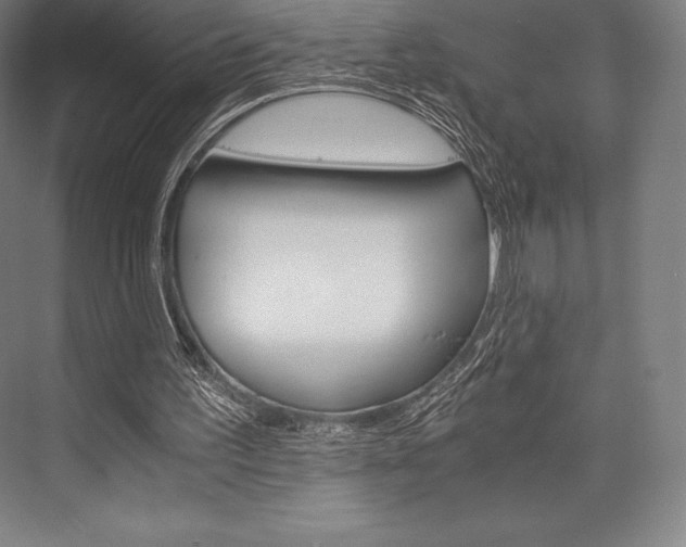 X0000076430195200610061008