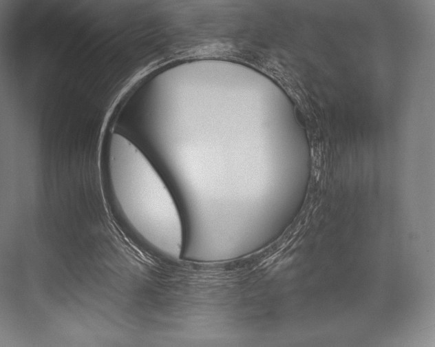 X0000076430196200610061008