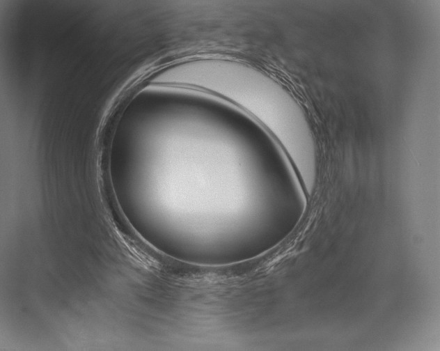X0000076430197200610061008