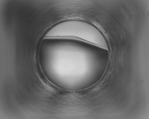 X0000076430201200610061008