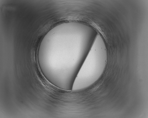 X0000076430205200610061008