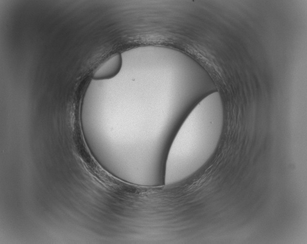 X0000076430206200610061008