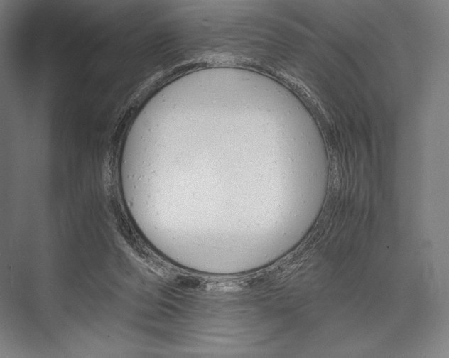 X0000076430208200610061008