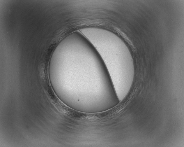 X0000076430209200610061008