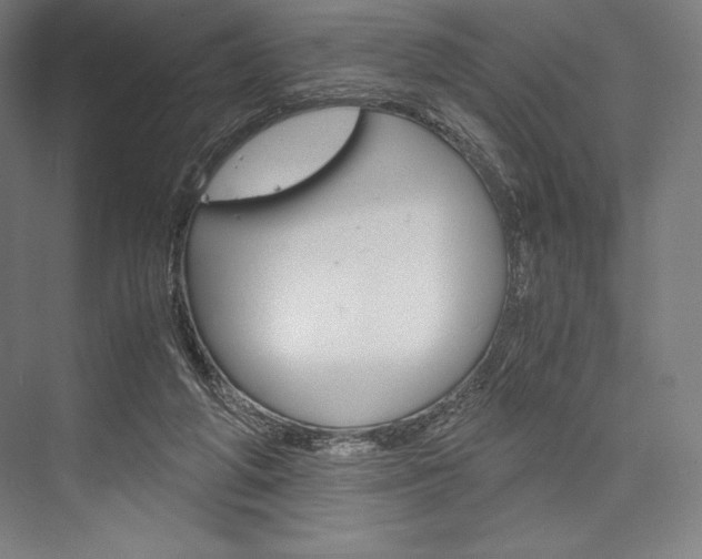 X0000076430210200610061008