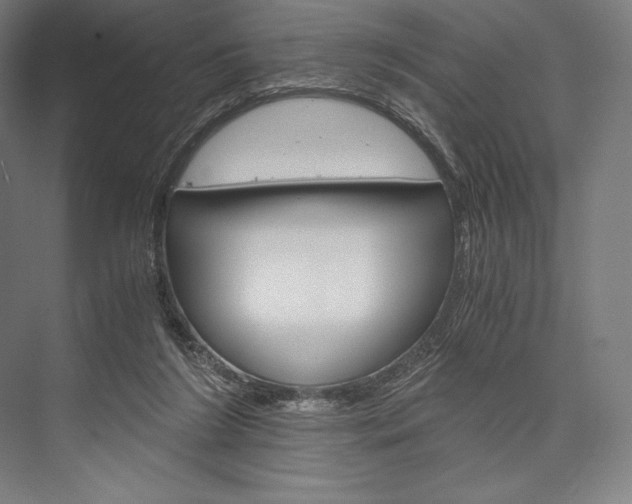 X0000076430212200610061008
