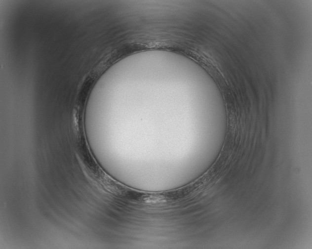 X0000076430214200610061008