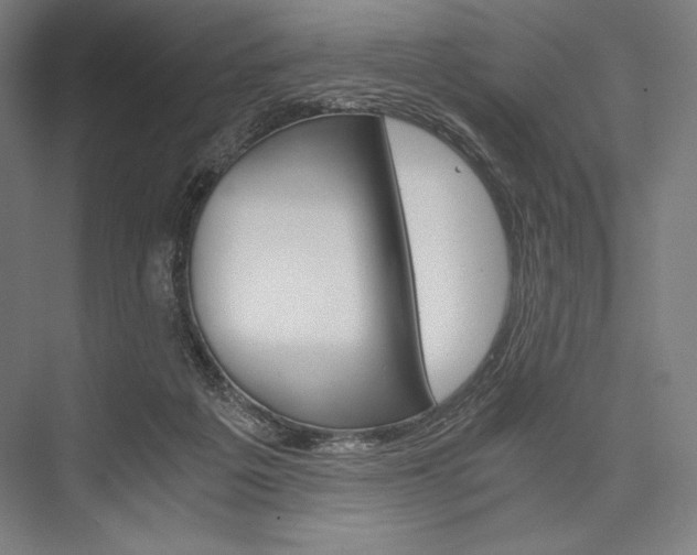 X0000076430217200610061008