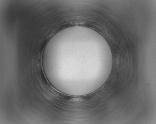 X0000076430218200610061008