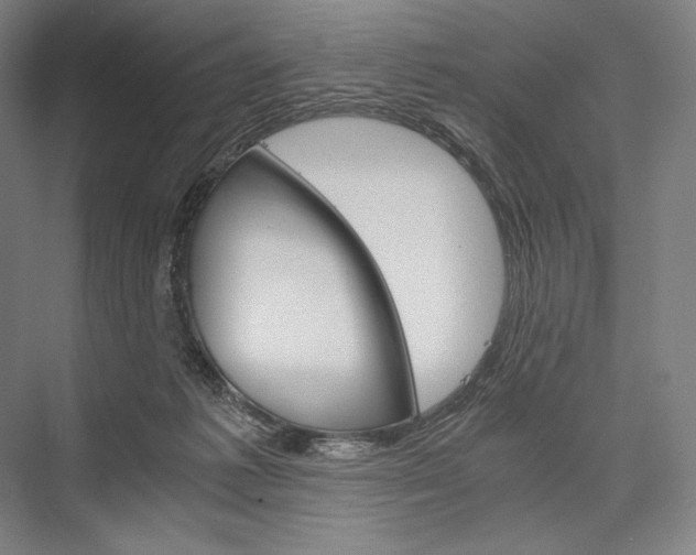 X0000076430221200610061008