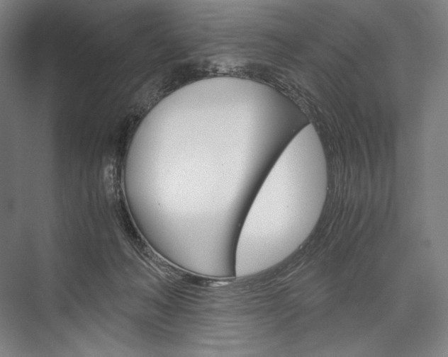 X0000076430222200610061008
