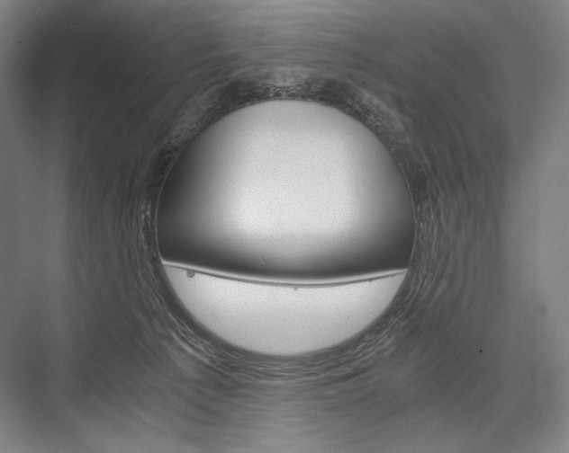 X0000076430225200610061007