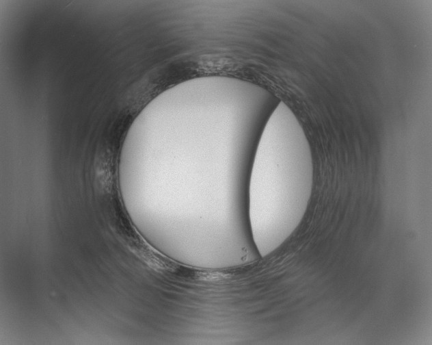 X0000076430226200610061007