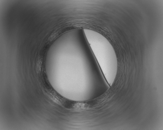 X0000076430227200610061007