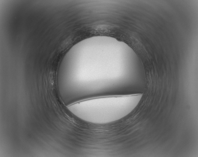X0000076430232200610061007
