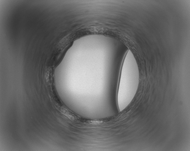 X0000076430233200610061007