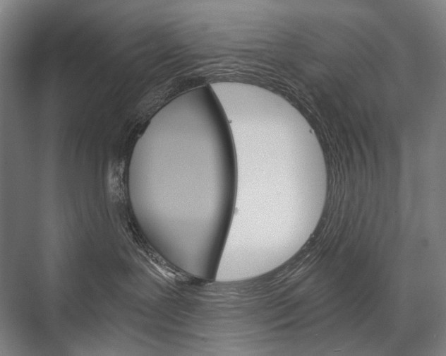 X0000076430239200610061007