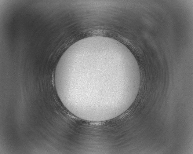 X0000076430240200610061007