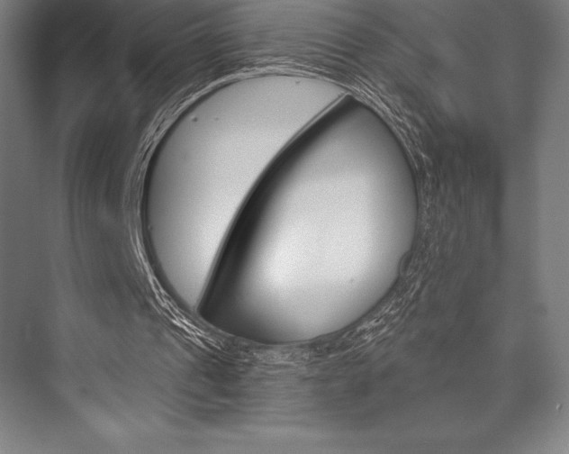 X0000076430241200610061006