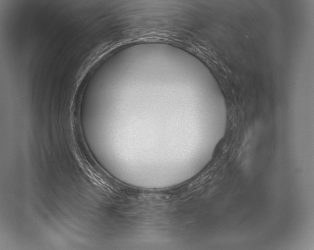 X0000076430242200610061006