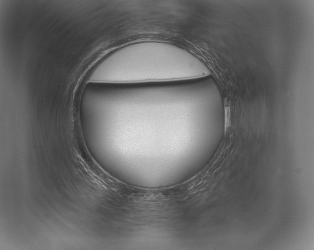X0000076430243200610061006