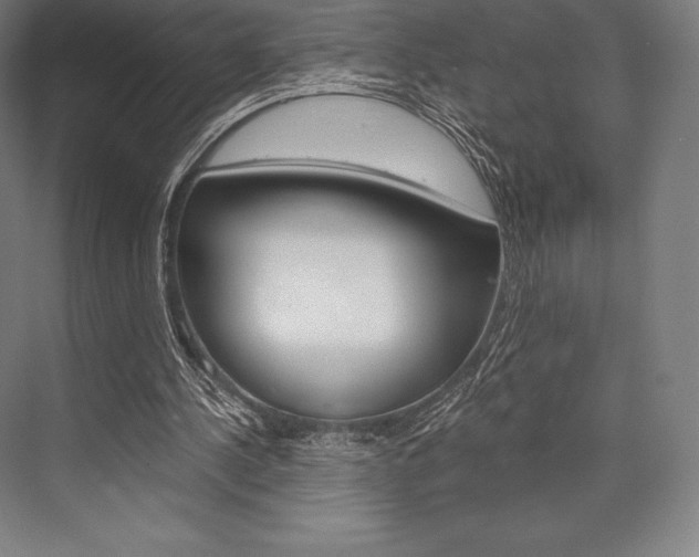 X0000076430244200610061006