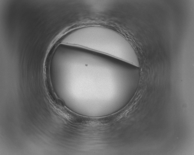 X0000076430246200610061006