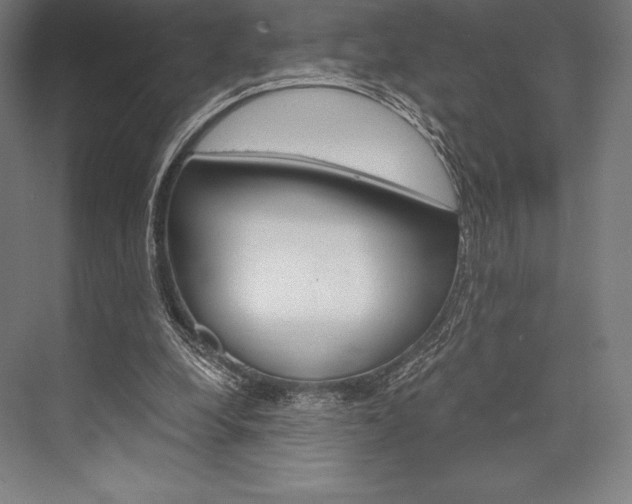 X0000076430248200610061007
