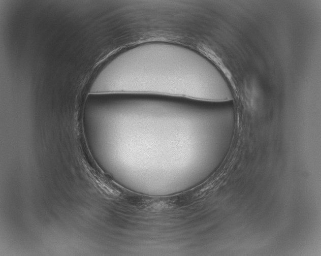 X0000076430249200610061007