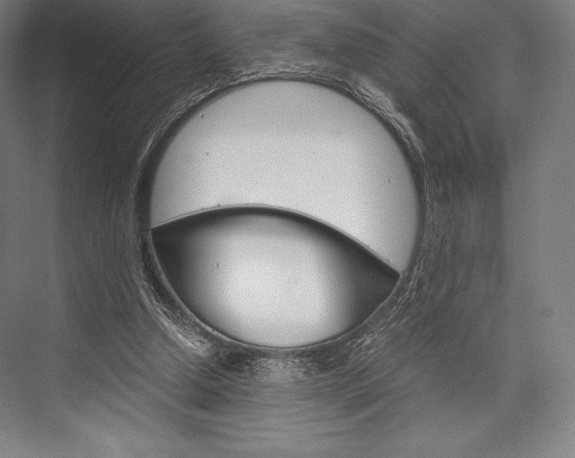 X0000076430250200610061007