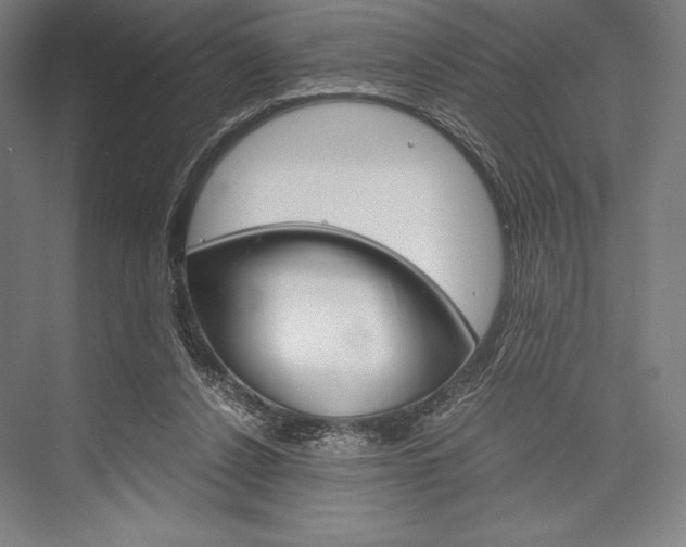 X0000076430256200610061007