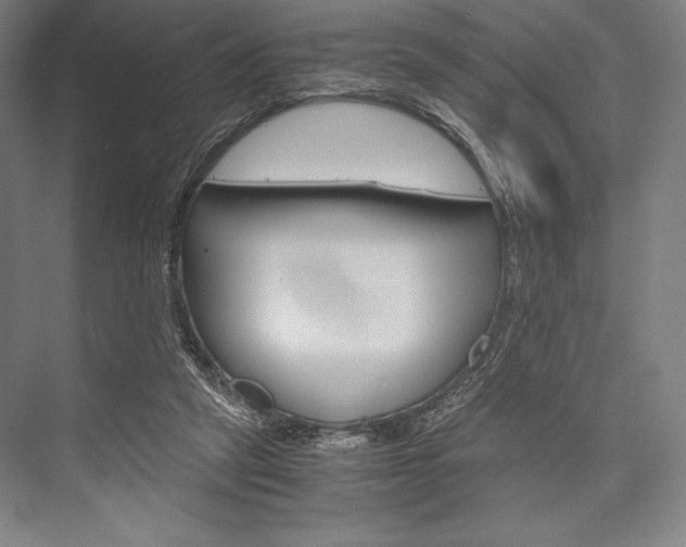 X0000076430257200610061007