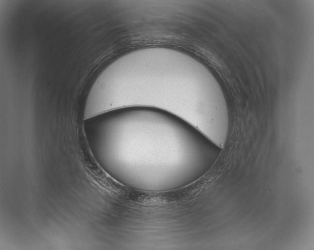 X0000076430258200610061007