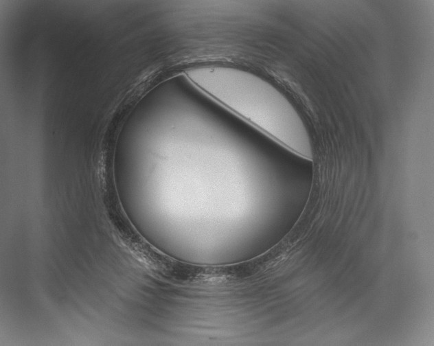 X0000076430260200610061007