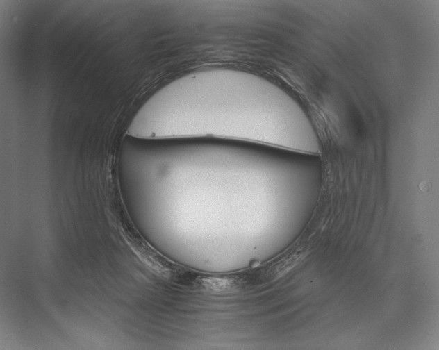 X0000076430265200610061007