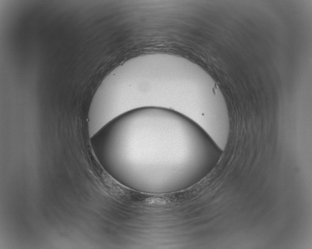 X0000076430272200610061007