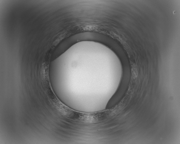 X0000076430276200610061007