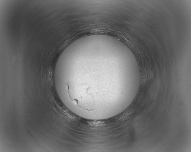 X0000076430281200610061007