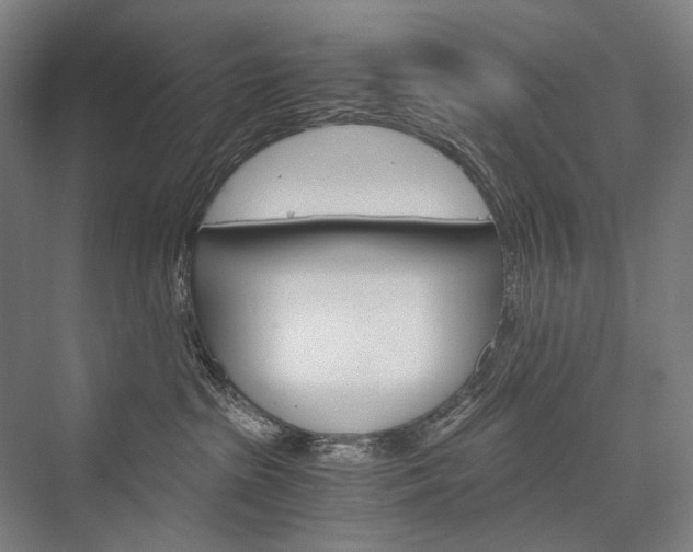 X0000076430285200610061007