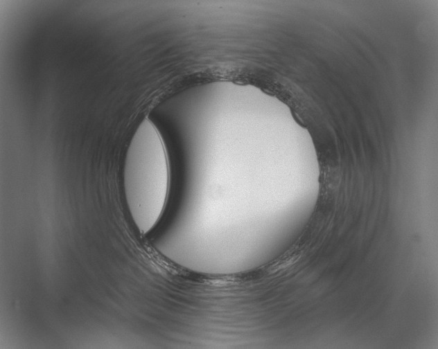 X0000076430286200610061007