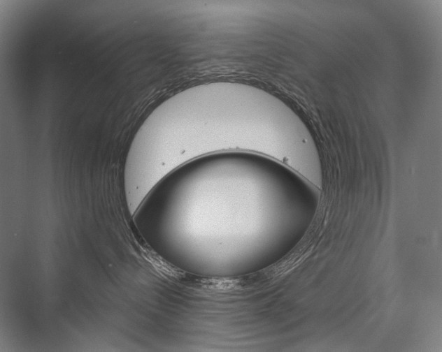X0000076430288200610061007